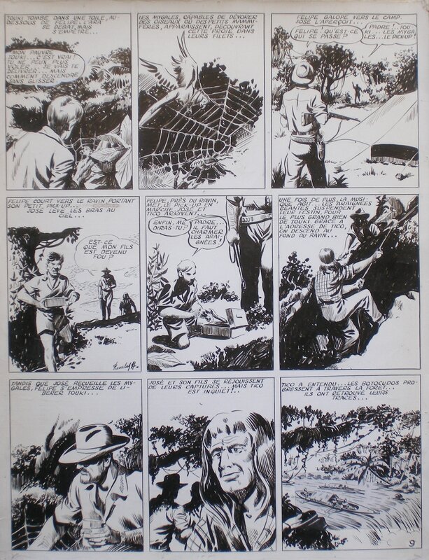 Pierre Le Goff, Chasseurs d'araignées - Comic Strip