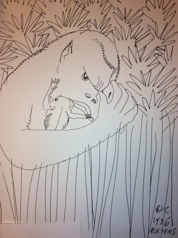 Gorilles by Jean Pleyers - Sketch