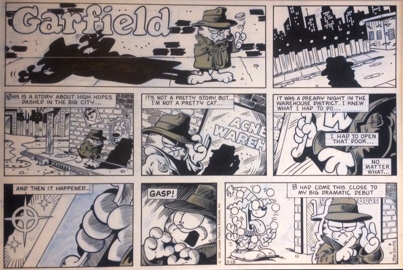 Jim Davis, Garfield - Sunday Strip 28/05/1989 - Comic Strip