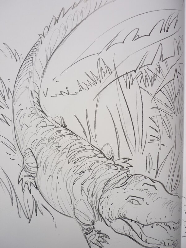 Crocodile by Luc Jacamon - Sketch