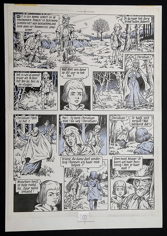 Willy Vandersteen, Robert en Bertrand 29 - De wolvenhoeve - Comic Strip