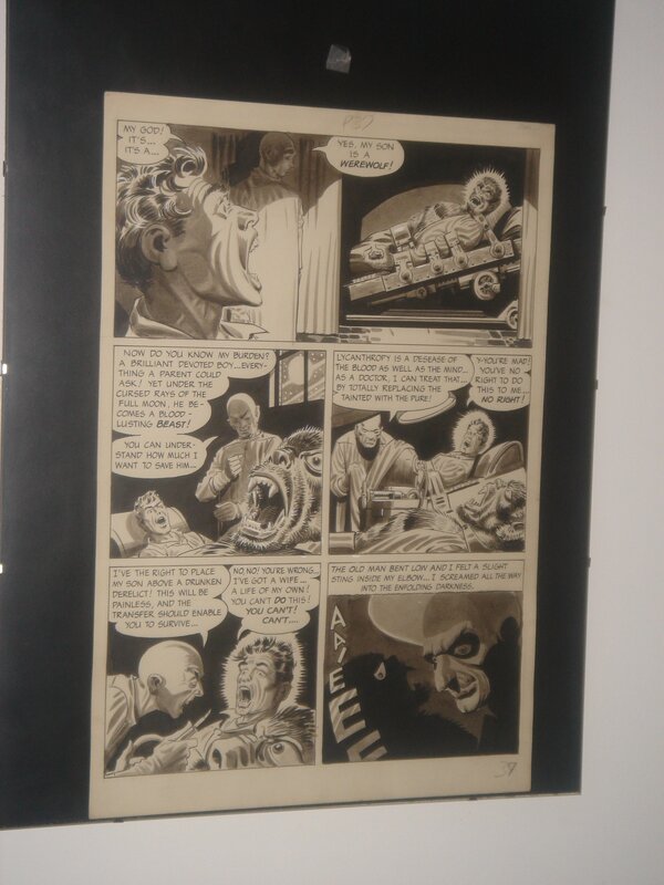 Steve Ditko, Archie Goodwin, Blood of the werewolf Creepy - Planche originale