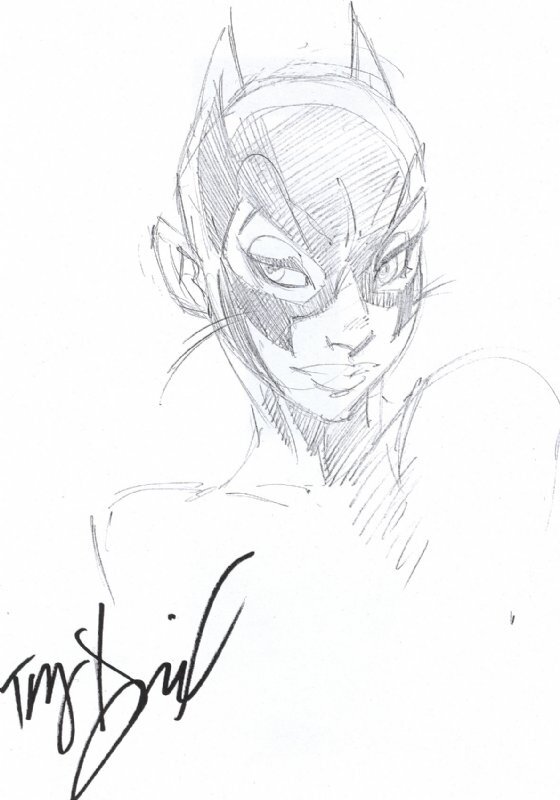 Tony Daniel Catwoman - Sketch