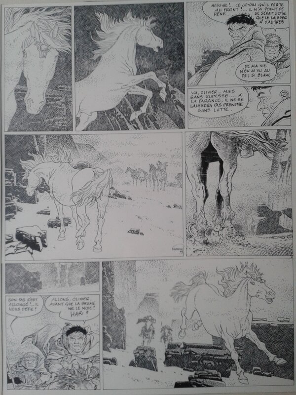 Hermann, Sigurd - Aymar de Bois-Maury - Comic Strip