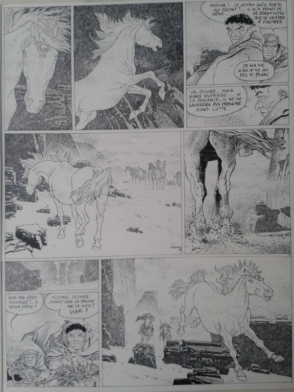 Hermann, Sigurd - Aymar de Bois-Maury - Planche originale