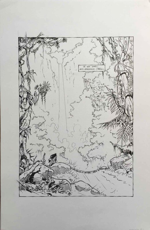 Amazonia T1 par Nicolas Otéro, Jean-Claude Bartoll - Planche originale