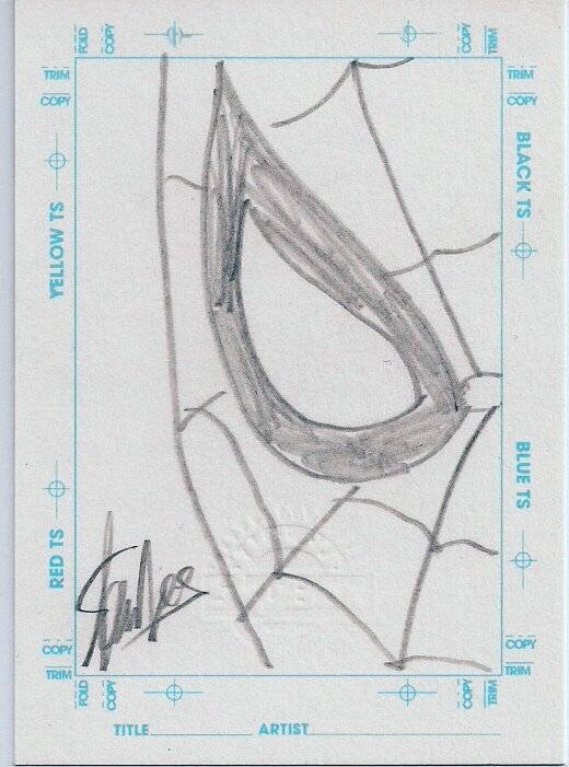 Spider-Man sketchagraph by Stan Lee - Sketch
