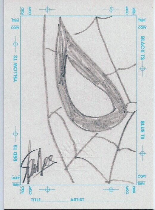 Spider-Man sketchagraph by Stan Lee - Sketch