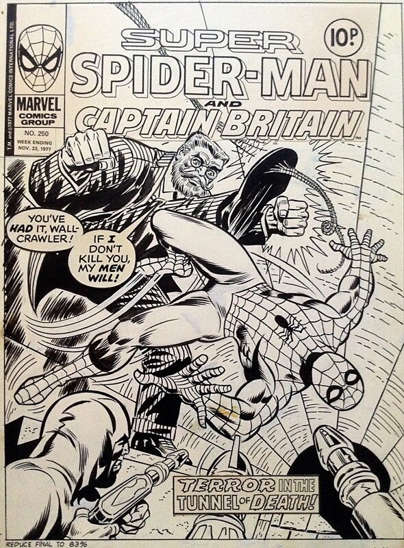 Larry Lieber, Frank Giacoia, Len Wein, Spider-Man (Intl.) #250 - Couverture originale