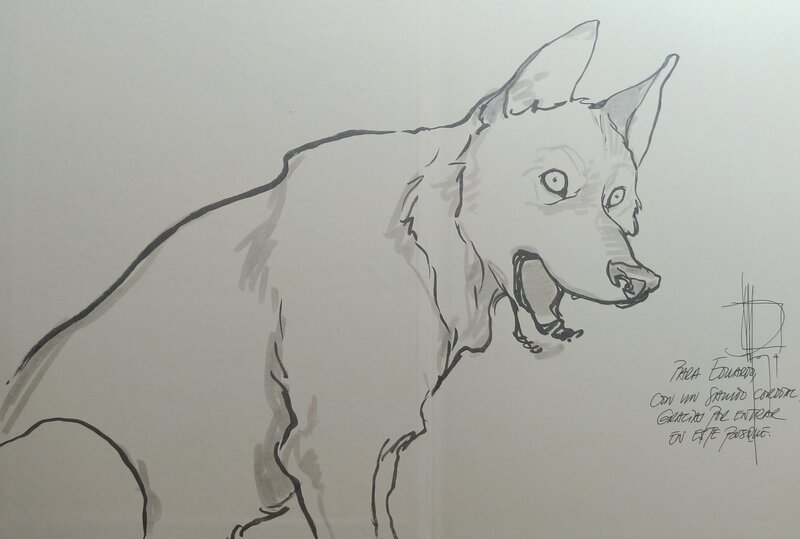 Miguelanxo Prado - Le Loup - Sketch