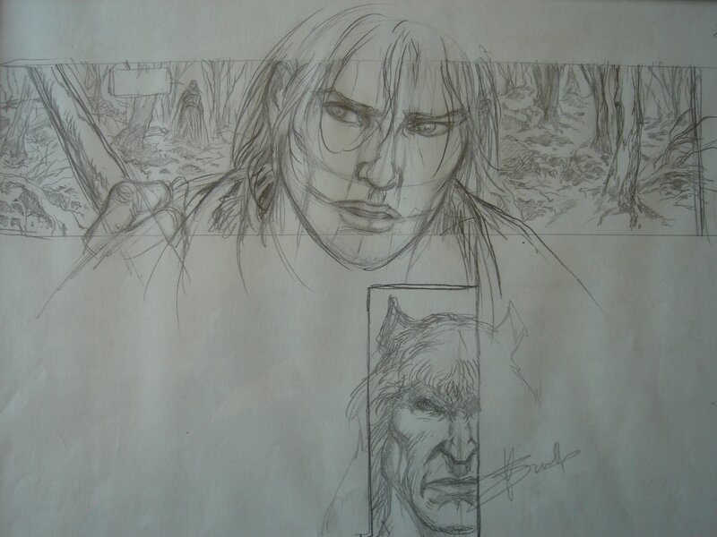 Yves Swolfs, Legende-Les forets profondes p14 - Original art