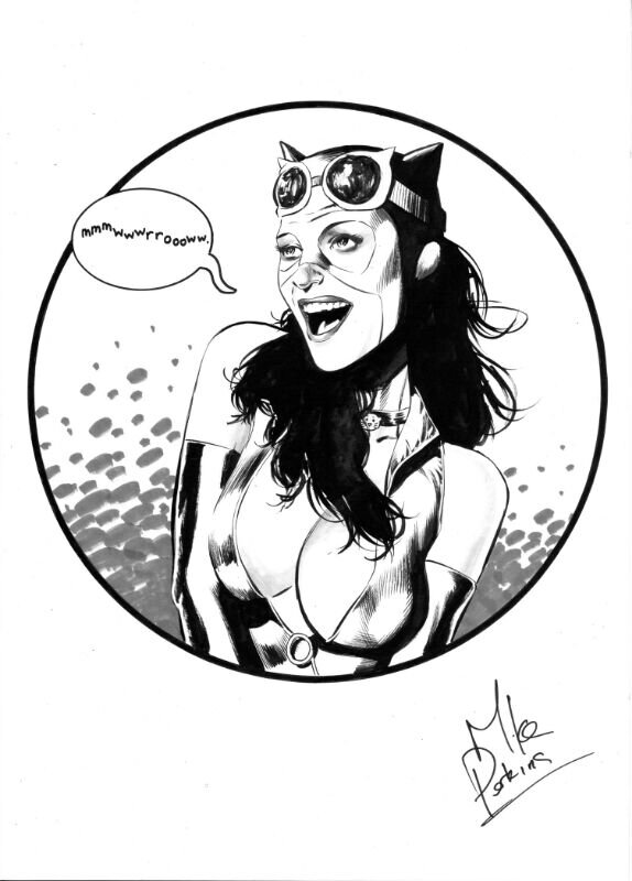 Mike Perkins Catwoman - Sketch
