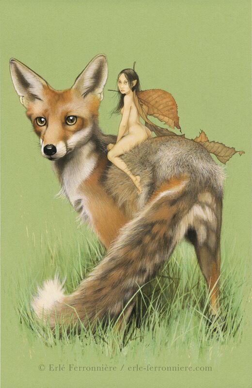 Erlé Ferronnière, La fée sur le renard - Illustration originale