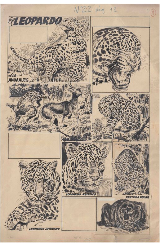 El Leopardo. par José Laffond - Planche originale