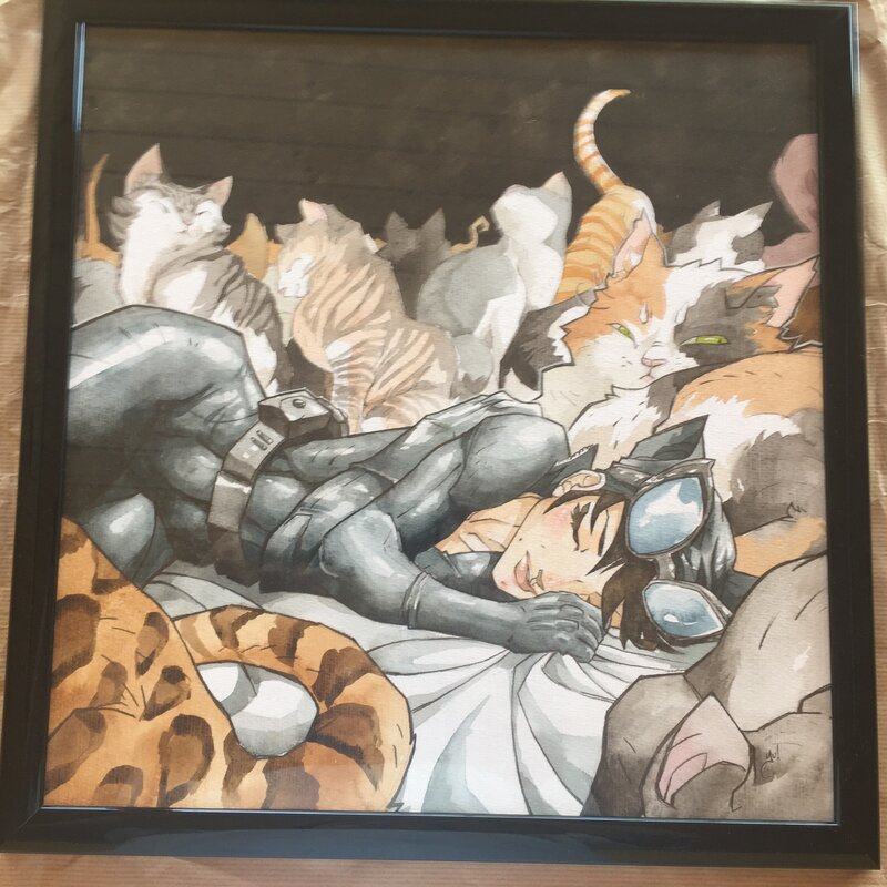 Julien, La sieste de Catwoman - Illustration originale