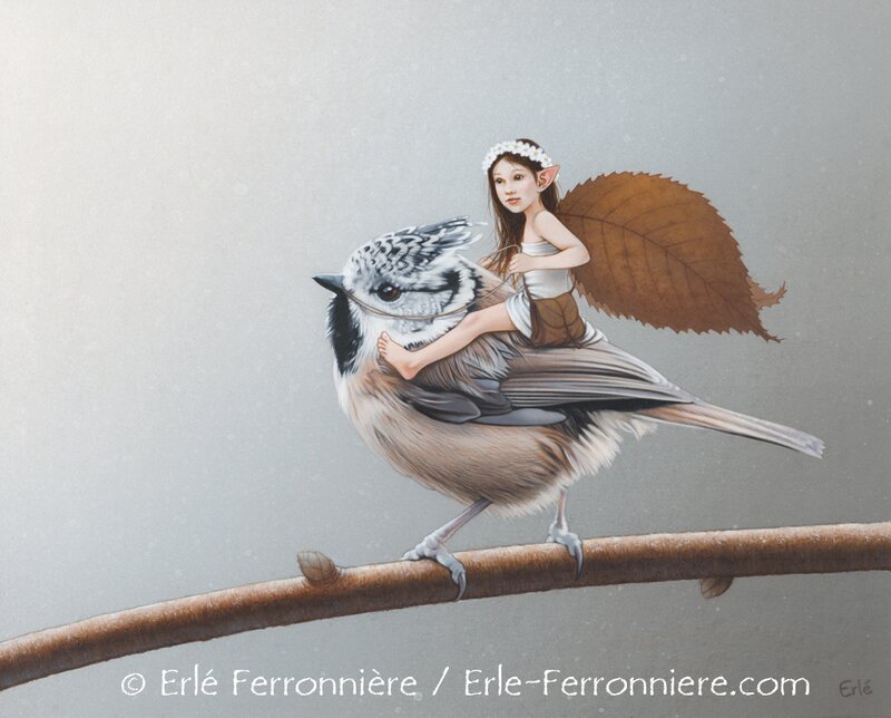 Erlé Ferronnière, La fée et la mésange huppée - Illustration originale