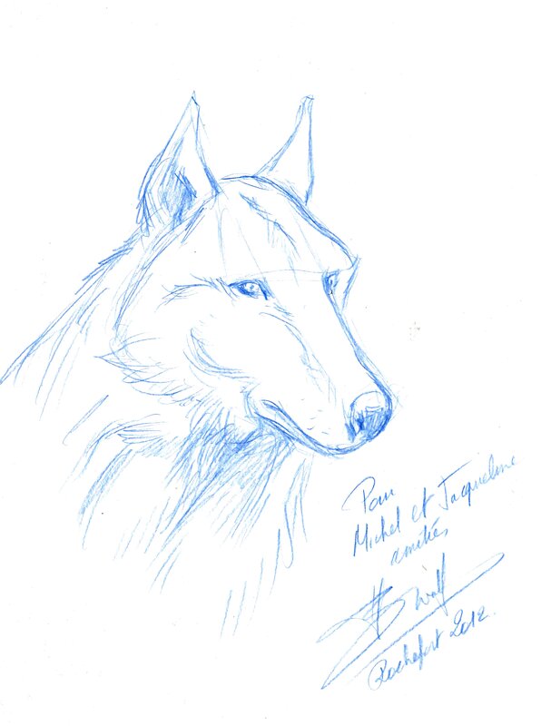 Loup by Yves Swolfs - Sketch