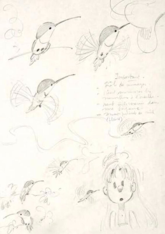 Etudes du colibri par André Franquin - Œuvre originale
