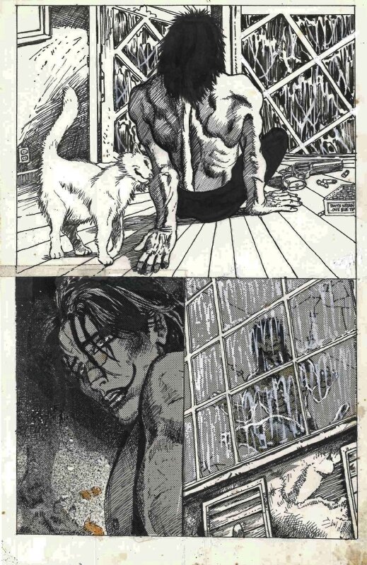 The Crow par James O'Barr - Planche originale