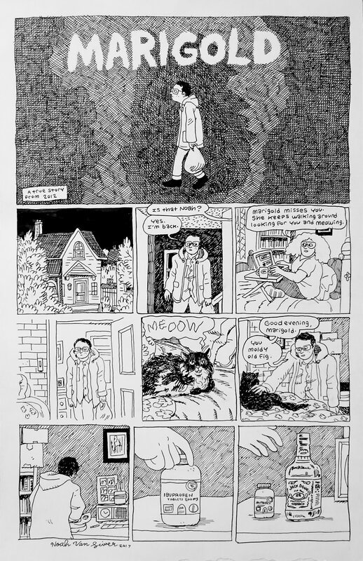 Marigold 1/3 par Noah Van Sciver - Planche originale