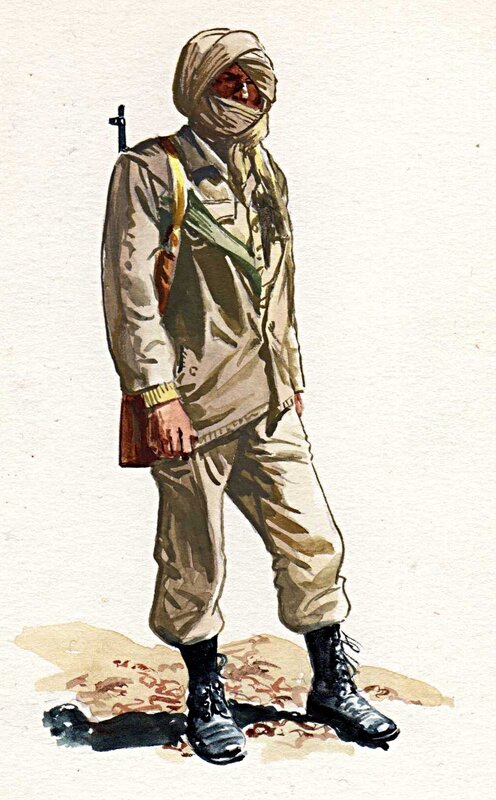 Pierre Le Goff, Combattant sarahoui - Illustration parue dans un hors-série de Libération - Illustration originale