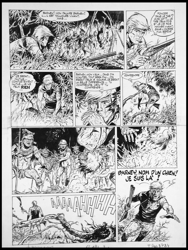 Hermann, Greg, 1973 - Bernard Prince - T9 - Planche 34 - Planche originale