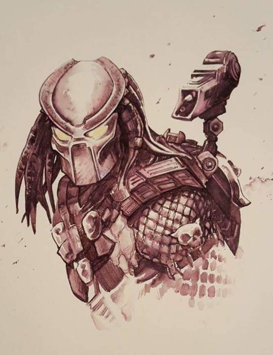 Predator by Stefano Carloni - Original Illustration