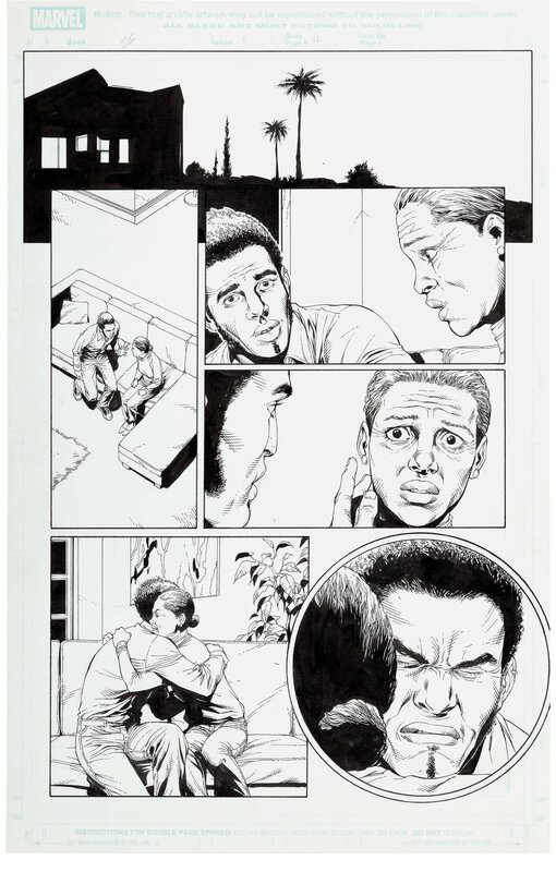 Gary Frank, Jonathan Sibal, Squadron Supreme V2 #1 P4 - Comic Strip