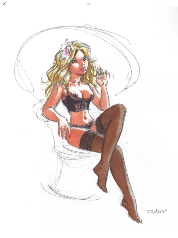 Pin-Up par Dany - Illustration originale