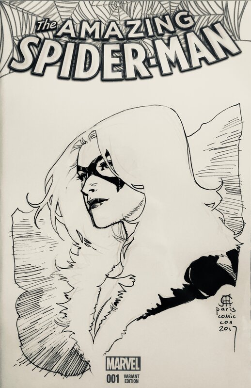 Black Cat by Jim Cheung - Original Illustration