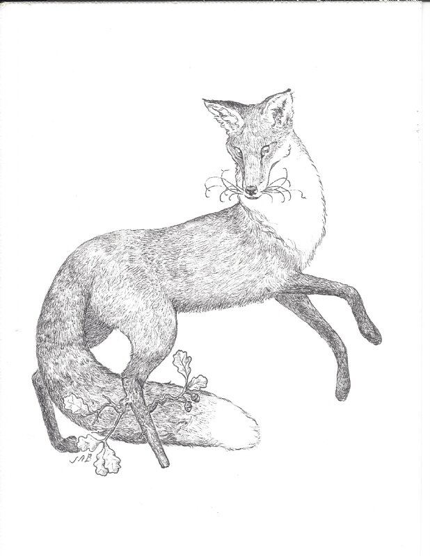 Jeremy Bastian - Peg Leg Fox - Original Illustration