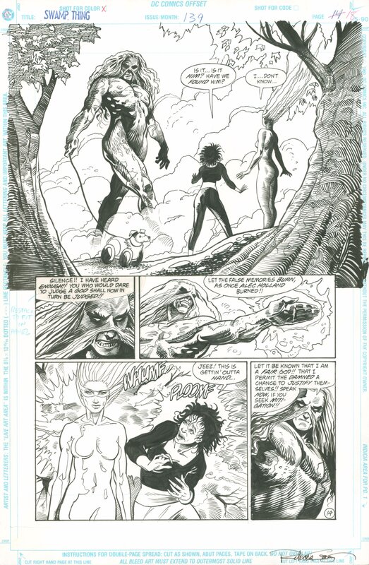 Rebecca Guay, Kim DeMulder, Swamp Thing Vol. 2 #139, p. 18 - Planche originale