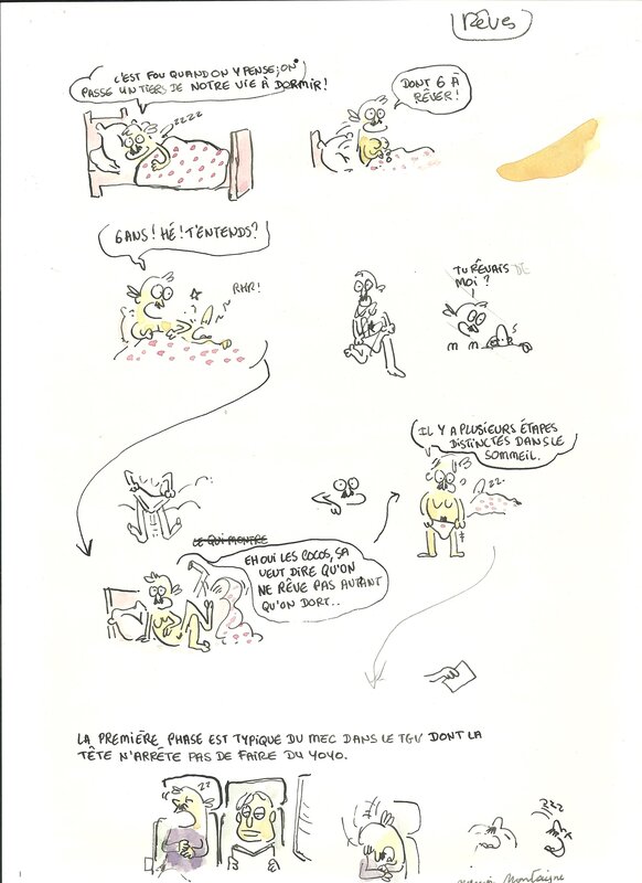 Marion Montaigne, Tu mourras moins bête. - Comic Strip