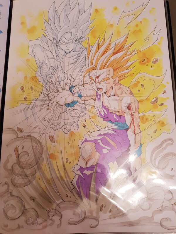 Gohan et goku par Jérôme Alquié - Illustration originale