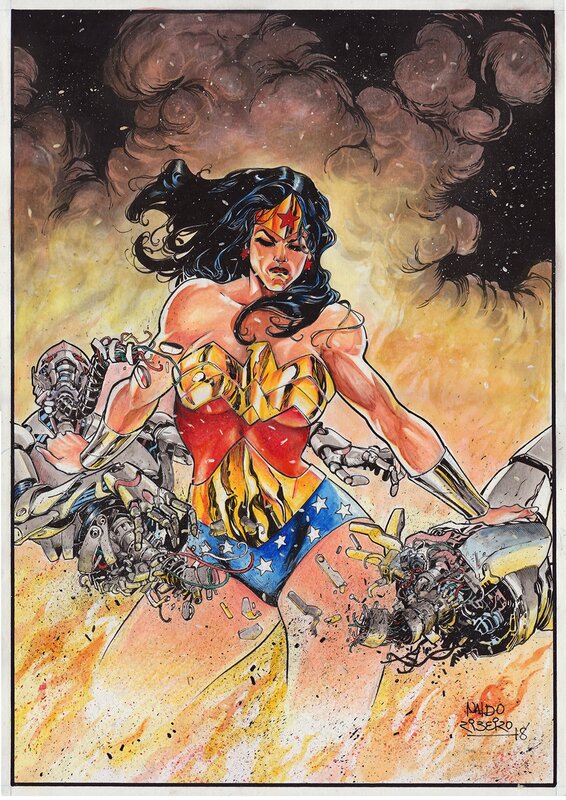 Wonder Woman par Naldo Ribeiro - Illustration originale