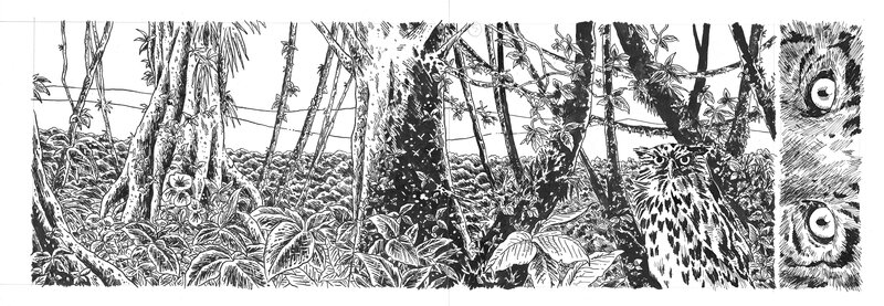 Sabre by Éric Feres - Comic Strip