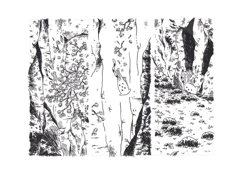 Sabre by Éric Feres - Comic Strip