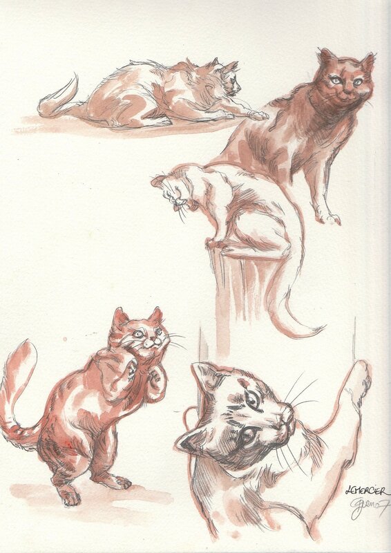 Etudes de chats by Gwendal Lemercier - Original art