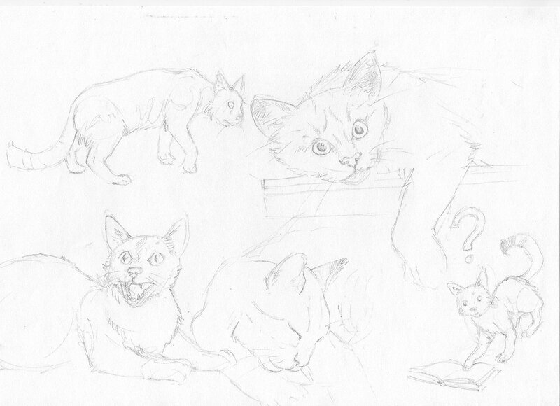 Batist (Baptiste) Payen, Carte de voeux personnelle - Le chat Libraire - Original art