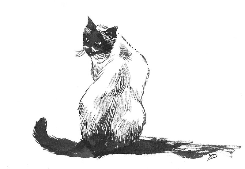 Xavier Delaporte, Un chat en guise de remerciements - Original Illustration