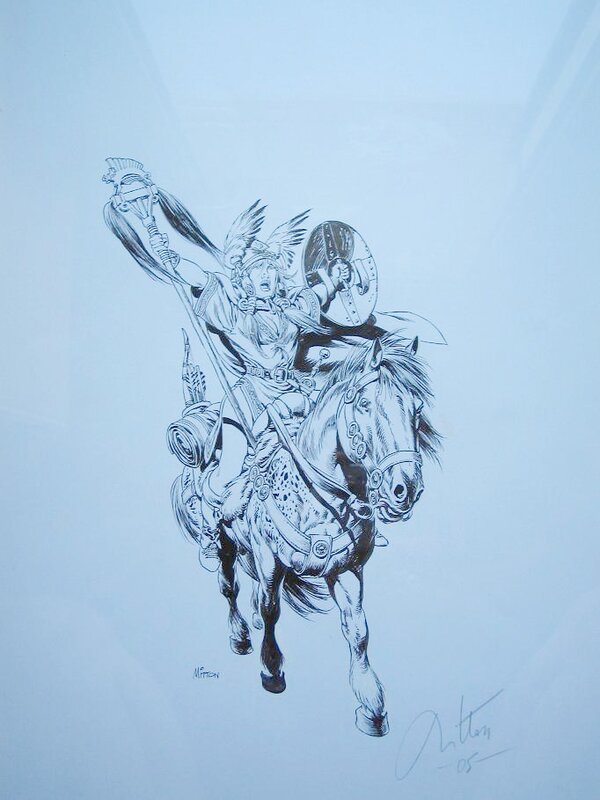 Vae Victis by Jean-Yves Mitton - Comic Strip