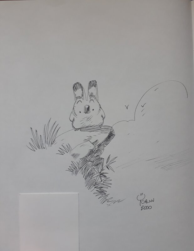 Wawa le koala by Yoann - Sketch