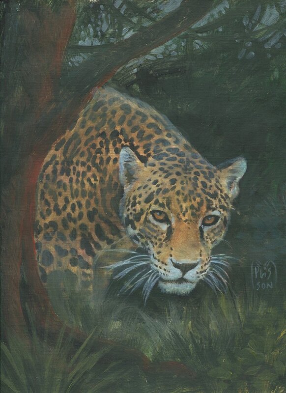 En vente - François Plisson, Jaguar en forêt de Vilcabamba. Peinture huile sur papier, étude préparatoire pour l'album  Le Fils du jaguar. Série Taanoki 2000 - Illustration originale