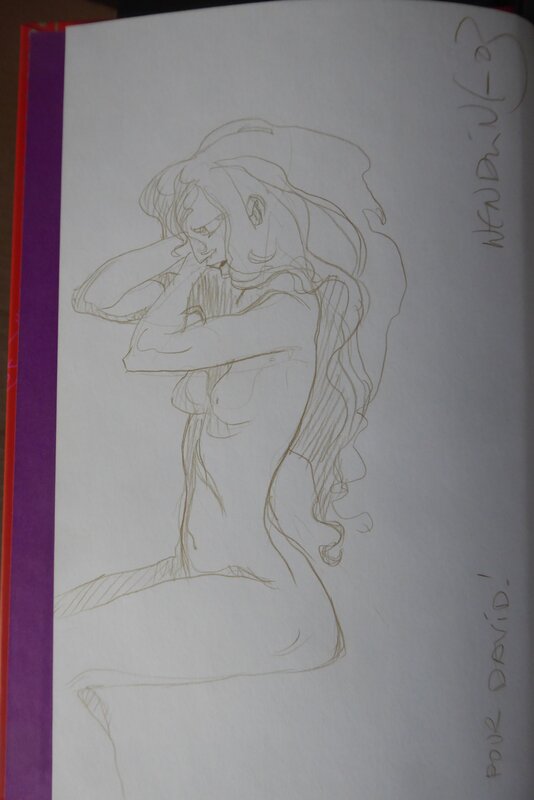 Recueil de dessins by Claire Wendling - Sketch