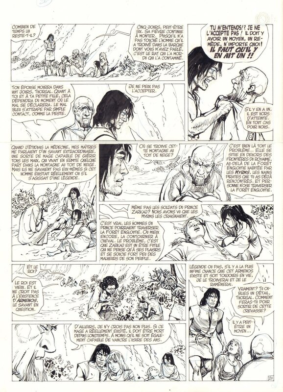 Grzegorz Rosinski, Jean Van Hamme, Thorgal T25 p20 - Le Mal bleu - Comic Strip