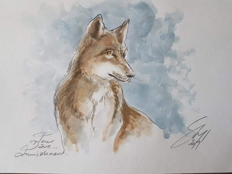 Wolf by Bruno Ghys - Sketch