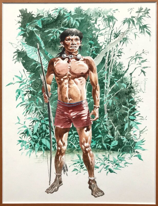 Hermann, South American native - Original Illustration