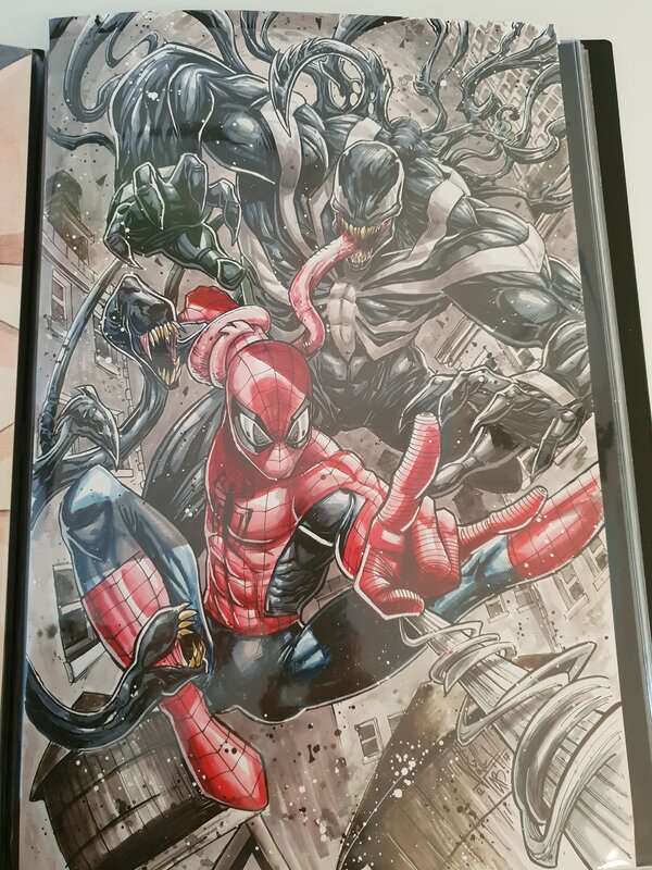 Spiderman et venom by Vinz El Tabanas - Original Illustration