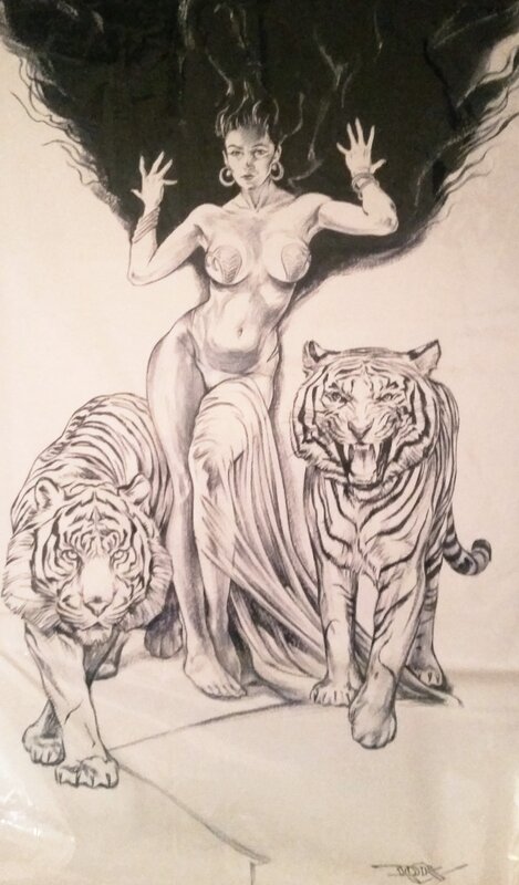 Tigers par Douglas Klauba - Illustration originale