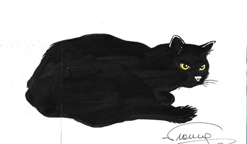 Chat noir 